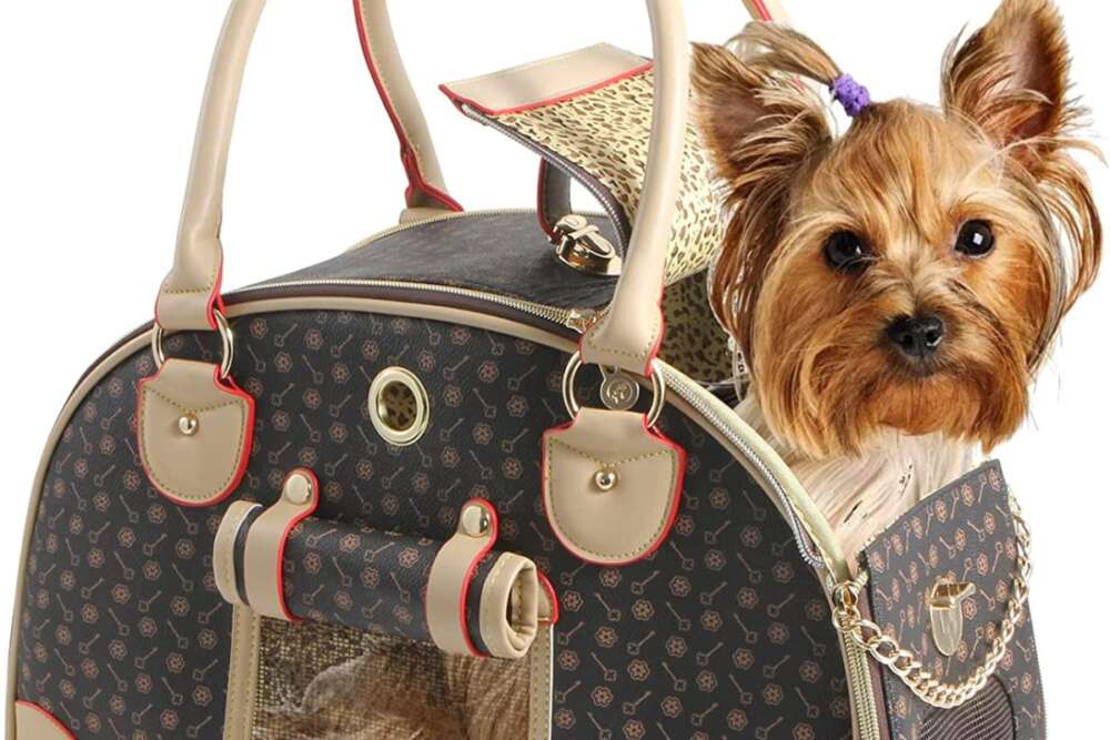 DIY - How to Make: Louis Vuitton inspired Luggage with Pet Carrier 